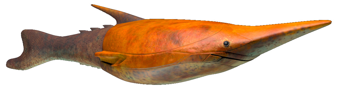 Pteraspis