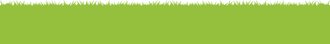 Gras